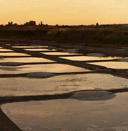 La Salangane Le Croisic